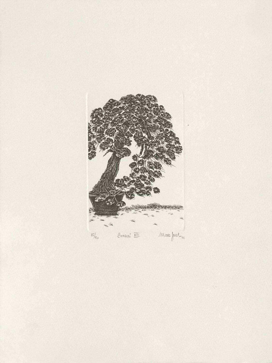 Bonzaï VIII Marc Jurt