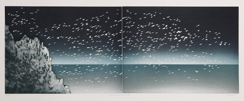 Tous Les Oiseaux Du Monde par Jean Solombre, Édition en vente sur Singulart