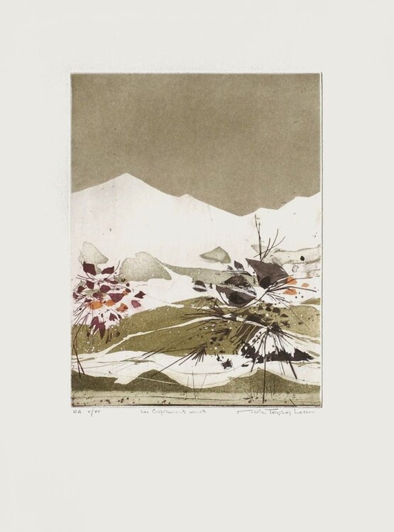 Les crépitements secrets Nicole Tercinet Levin