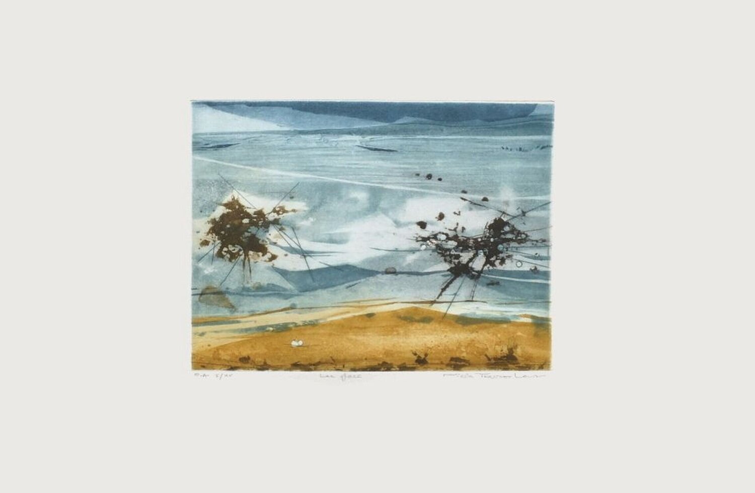 Lac glacé Nicole Tercinet Levin Stampa in vendita