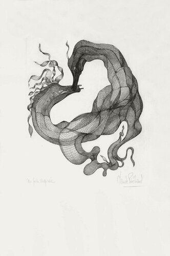 Chimères II von Claude Piechaud, Druck kaufen auf Singulart