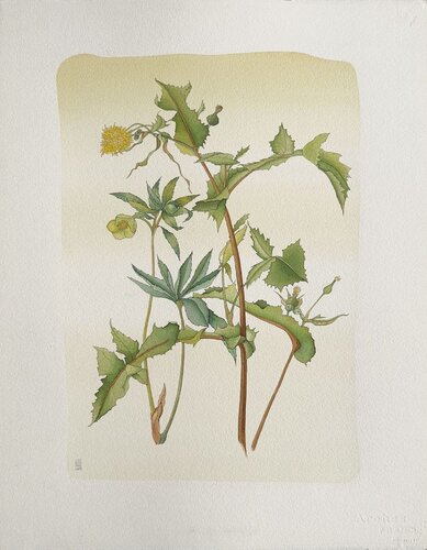 Fleur I di Jean-Paul Griffoulière, Pittura in vendita su Singulart