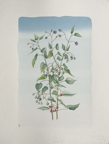 Morelle von Jean-Paul Griffoulière, Malerei kaufen auf Singulart