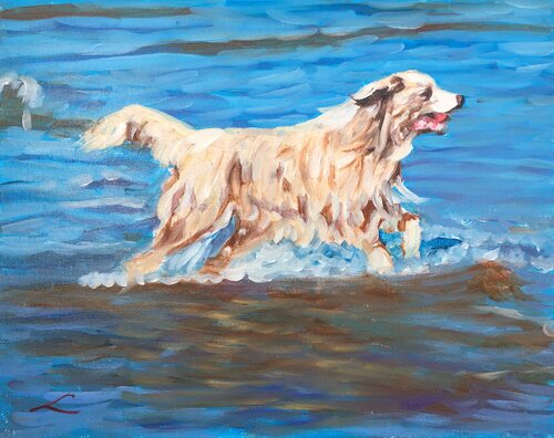 Wet dog with a red ball van Elena Sokolova, Schilderij te koop op Singulart
