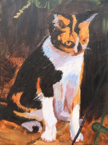 Cat van Elena Sokolova, Schilderij te koop op Singulart