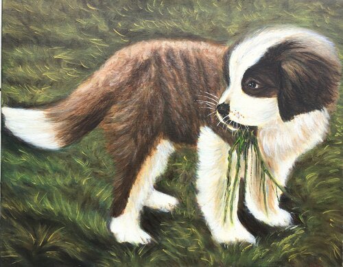 Baby Sen Bernar by Elena Sokolova, Painting for Sale on Singulart