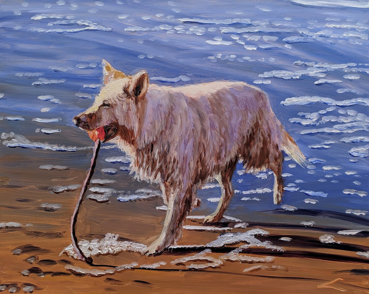 Wet dog with a toy Elena Sokolova