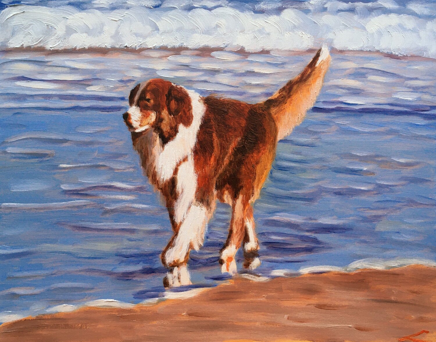 Dog at the sea 5 Elena Sokolova