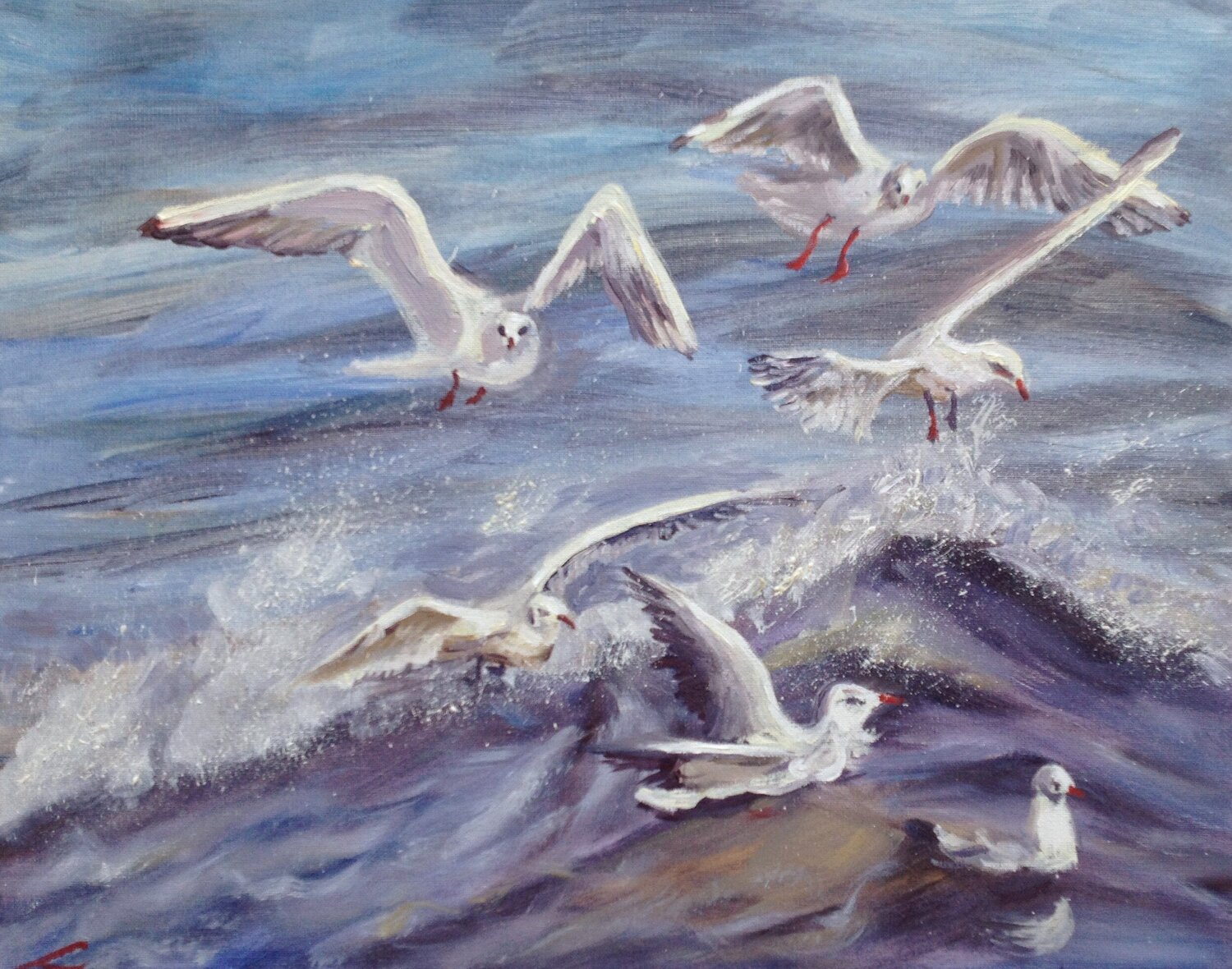 Seagulls 4 Elena Sokolova
