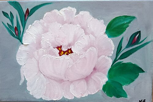 Rose de Vera Göpfert, Pintura a la venta en Singulart