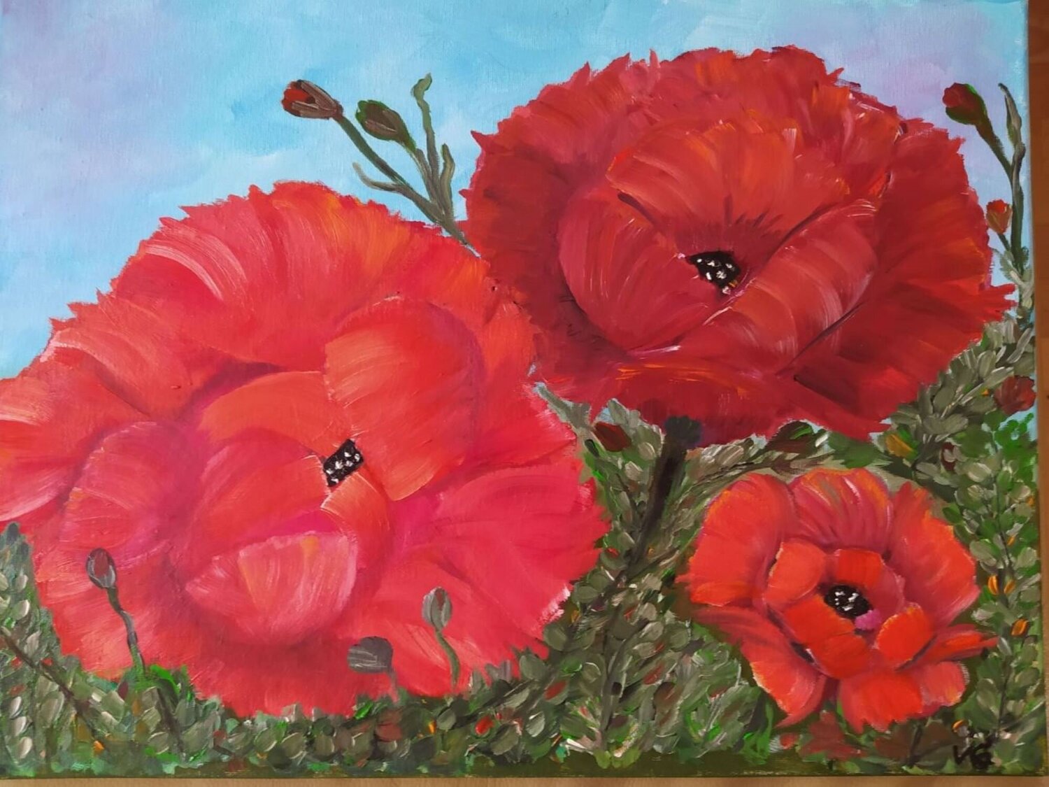 Mohnblumen Vera Göpfert