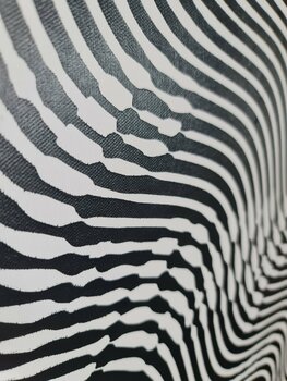 CAMPBELL'S SOUP Richard Brandão