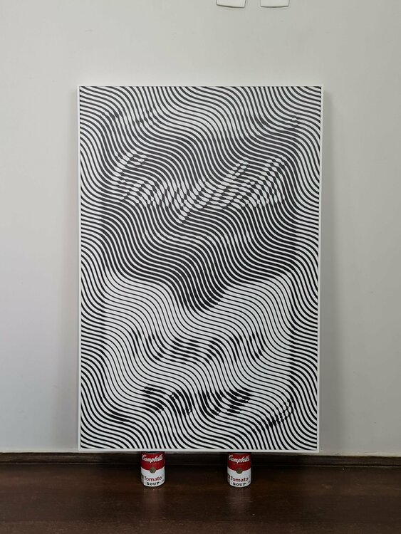 CAMPBELL'S SOUP Richard Brandão