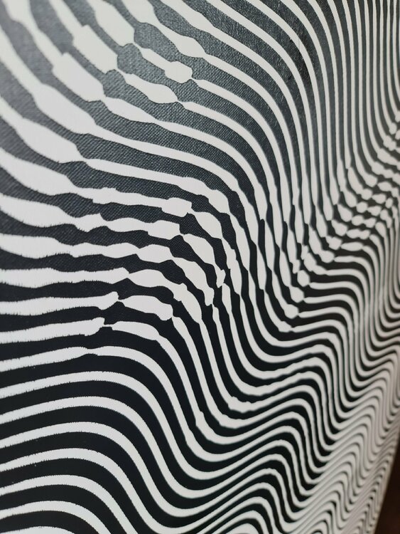 CAMPBELL'S SOUP Richard Brandão