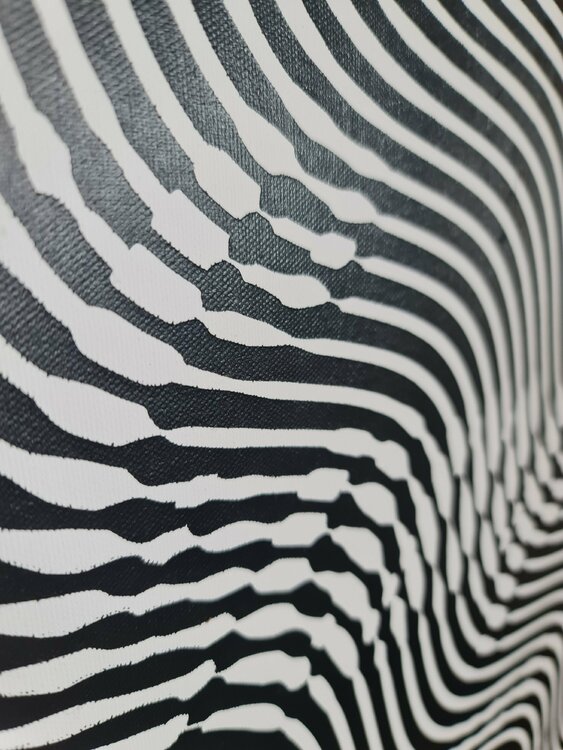 CAMPBELL'S SOUP Richard Brandão