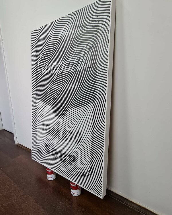 CAMPBELL'S SOUP Richard Brandão