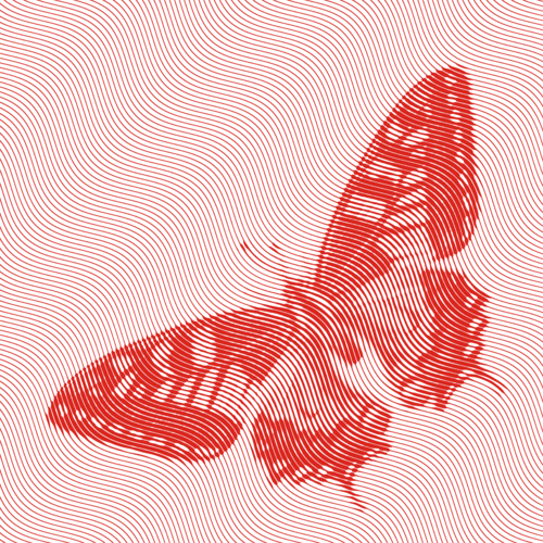 BUTTERFLY 003 Richard Brandão