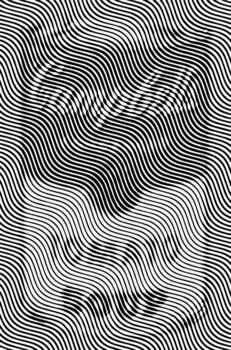 CAMPBELL'S SOUP Richard Brandão