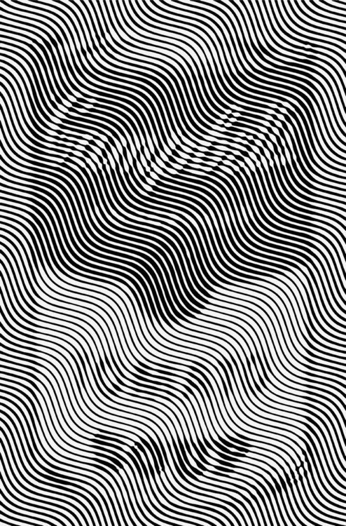 CAMPBELL'S SOUP Richard Brandão