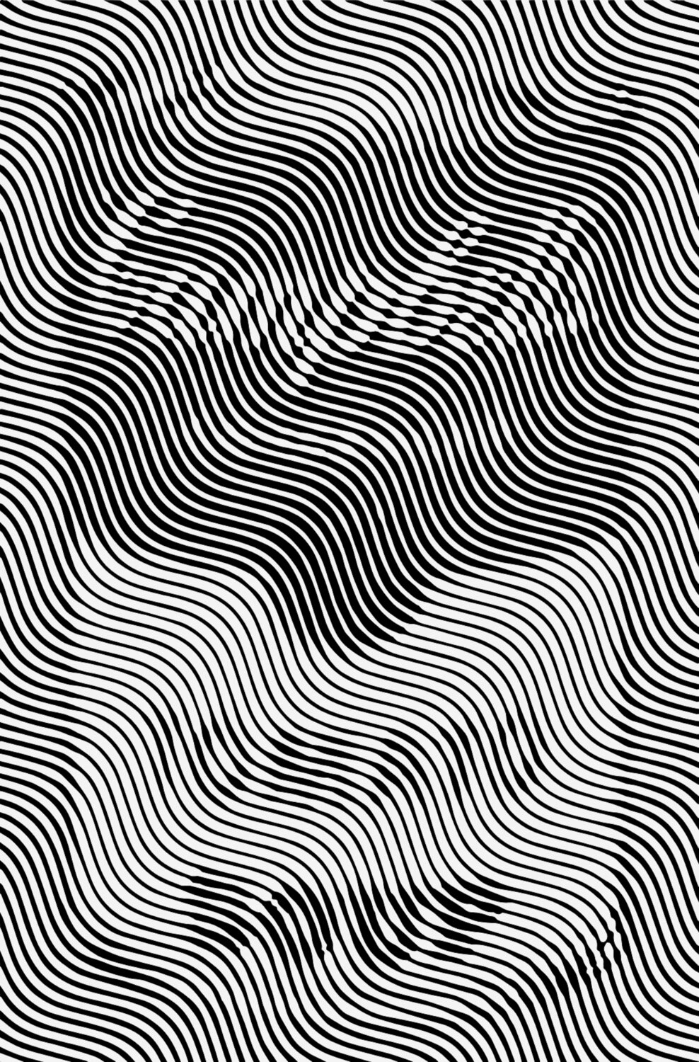 CAMPBELL'S SOUP Richard Brandão