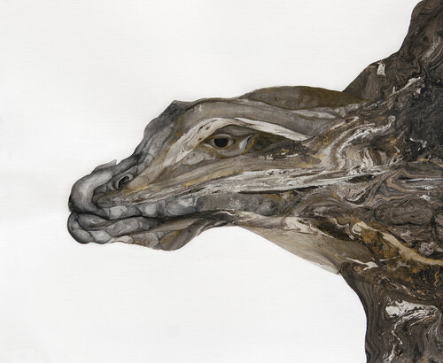 Varanus Priscus di Paula Segarra, Pittura in vendita su Singulart
