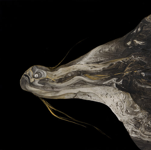 El rey de los arenques (Regalecus Glesne) di Paula Segarra, Pittura in vendita su Singulart