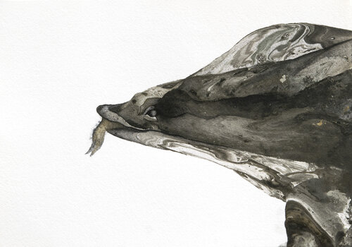 Lagarto terrestre di Paula Segarra, Pittura in vendita su Singulart