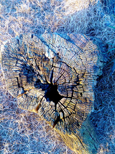 Ciò che resta von Mara Montagna, Fotografie kaufen auf Singulart