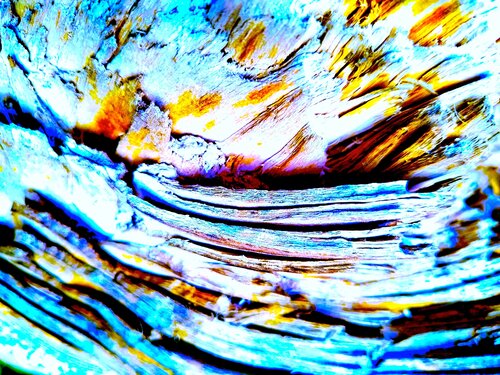Fibre vitali von Mara Montagna, Fotografie kaufen auf Singulart