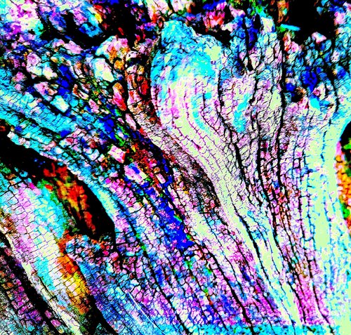 Come pietre preziose nascoste par Mara Montagna, Photographie en vente sur Singulart