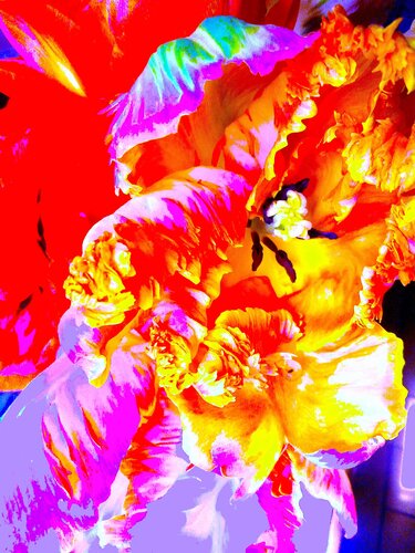 Calore e colore de Mara Montagna, Fotografía a la venta en Singulart