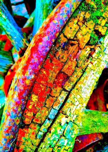 Vita di strade percorse by Mara Montagna, Photography for Sale on Singulart
