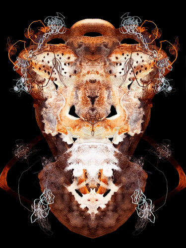 22_07_17_16_37_DI_03 by frank albert, Print for Sale on Singulart