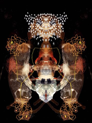 23_03_14_20_51_DI_02 by frank albert, Print for Sale on Singulart