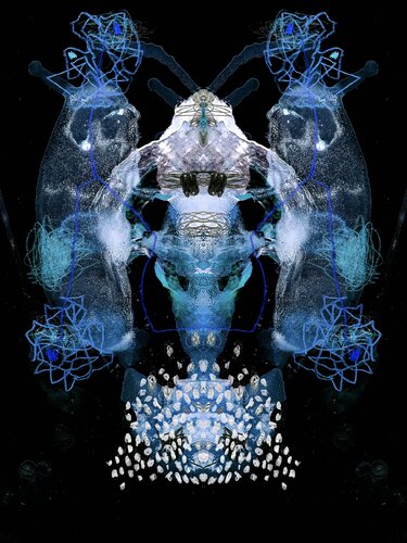 23_03_14_20_51_DI_03 von frank albert, Druck kaufen auf Singulart