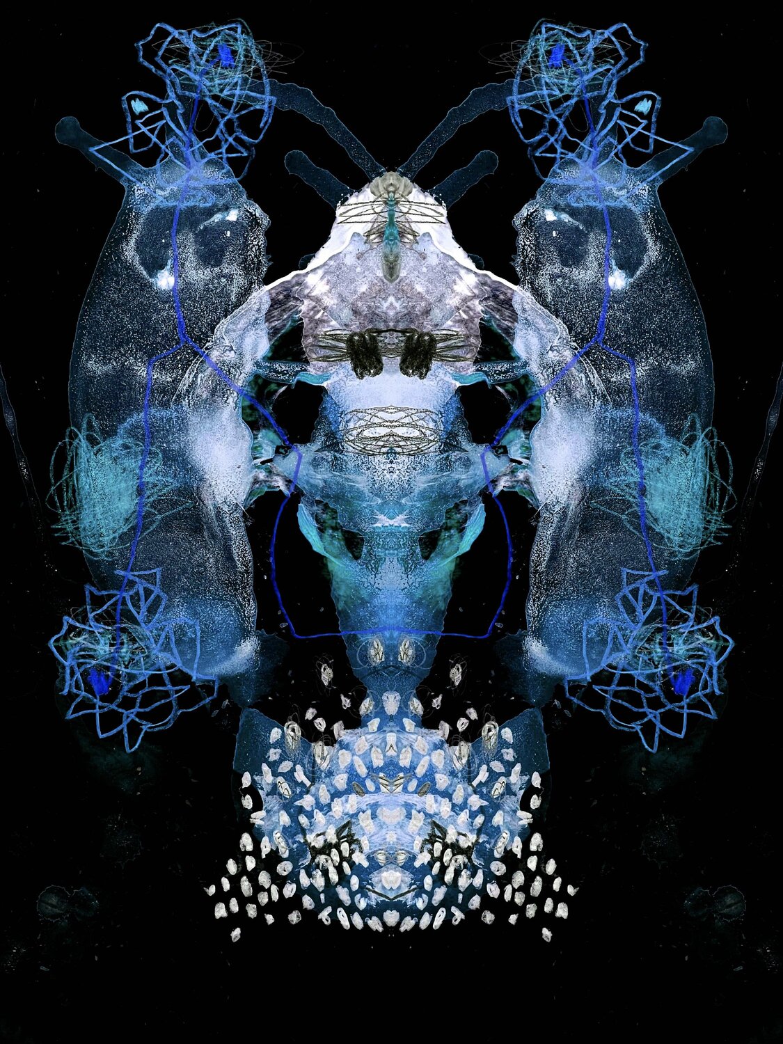 23_03_14_20_51_DI_03 frank albert