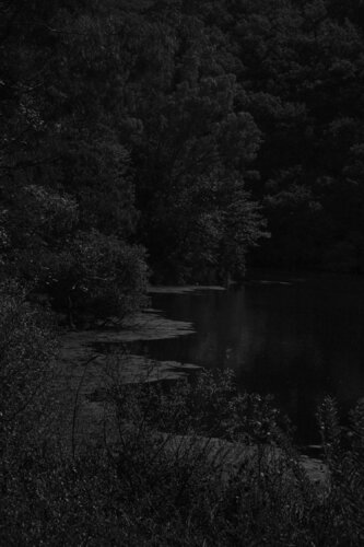 "Black Forest" 01, Albania by Márcio Neves, 사진 for Sale on Singulart