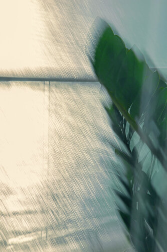 Daydreaming Sea 853, Miami van Márcio Neves, Fotografie te koop op Singulart