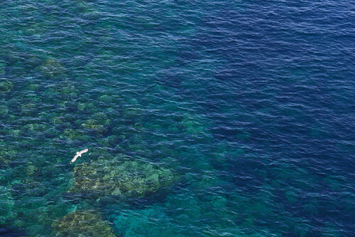 Sa Caleta Sea 095, Ibiza di Márcio Neves, Fotografia in vendita su Singulart