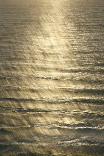 Daydreaming, Golden Sea 819 van Márcio Neves, Fotografie te koop op Singulart
