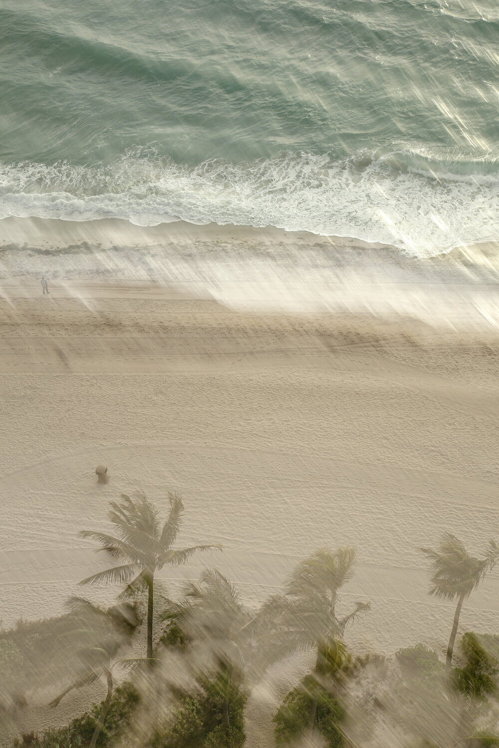 Daydreaming Beach 831, Miami Márcio Neves