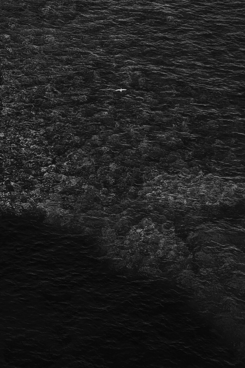 Sa Caleta Sea 092, Ibiza Márcio Neves Fotografie zu verkaufen