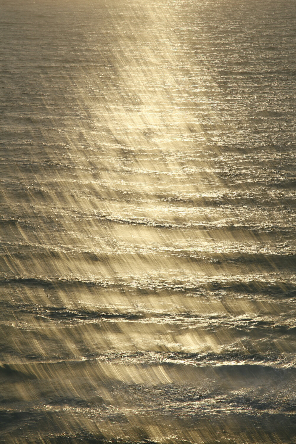 Daydreaming, Golden Sea 819 Márcio Neves Fotografie zu verkaufen