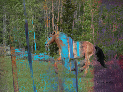 Rainbow Horse by Karen Scally, 사진 for Sale on Singulart