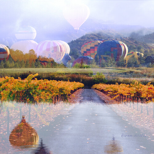 Flying High by Karen Scally, 사진 for Sale on Singulart