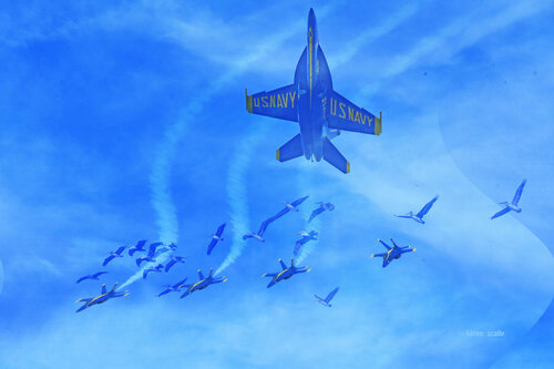 Aerobatic Competition by Karen Scally, 디지털 for Sale on Singulart