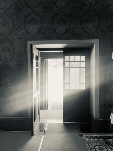 Luminessence by Bart Wampers, 写真 for Sale on Singulart