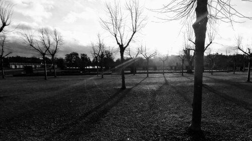 Field of Light | Drottningholm Sweden by Bart Wampers, 写真 for Sale on Singulart