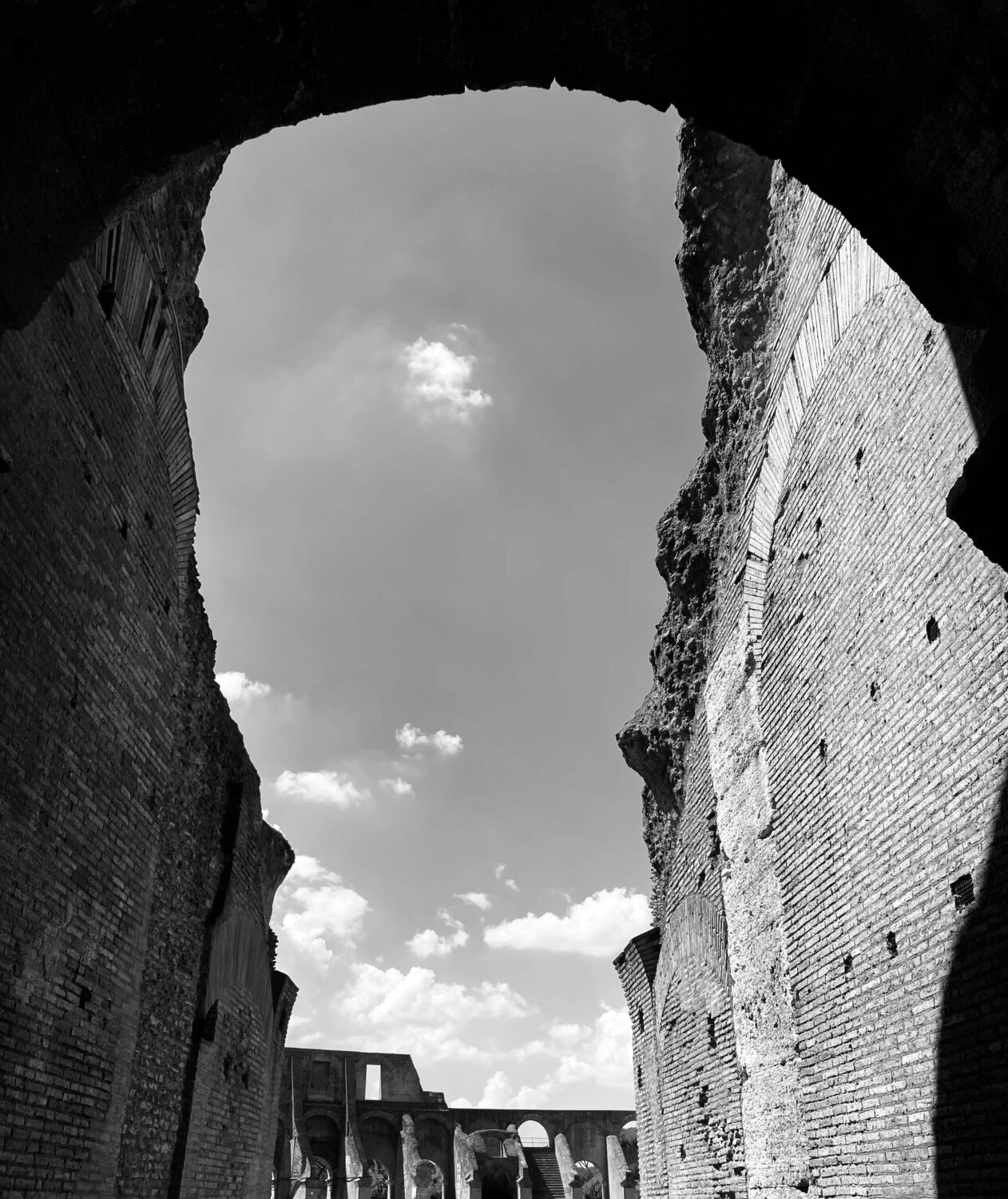 Morituri… Bart Wampers Photography for sale