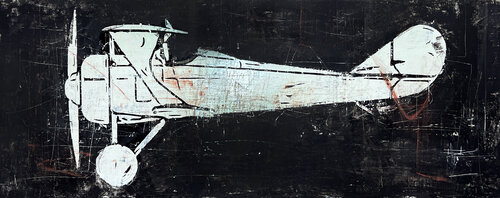 The Old Airplane de Robert Tillberg, Pintura a la venta en Singulart